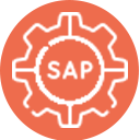 sap-1
